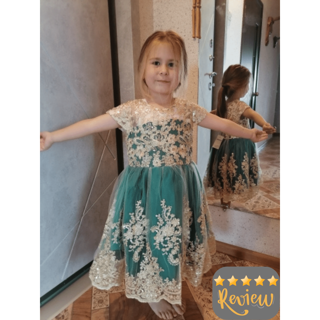 Embroidery Fancy Formal 9M-5yrs Dress - Coco Potato - dresses and partywear for little girls