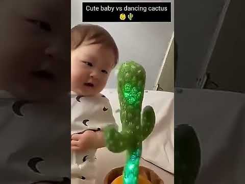 Dancing Recording Cactus Toy